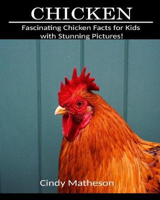 Book cover for Chicken