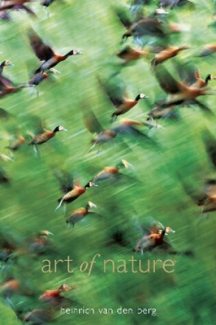 Cover of Art Of Nature