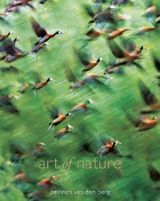 Book cover for Art Of Nature