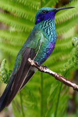 Book cover for Simply Lovely Blue and Green Hummingbird Nature Journal