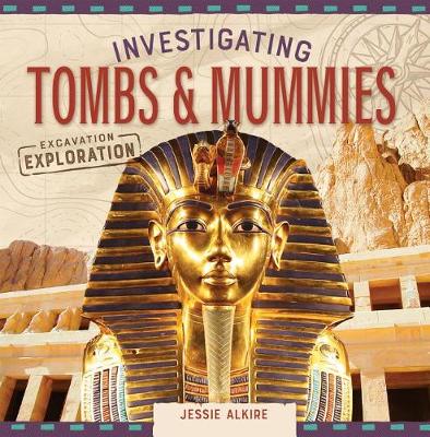 Book cover for Investigating Tombs & Mummies