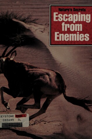 Cover of Escaping from Enemies