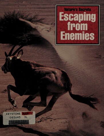 Book cover for Escaping from Enemies