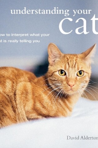 Cover of Understanding Your Cat