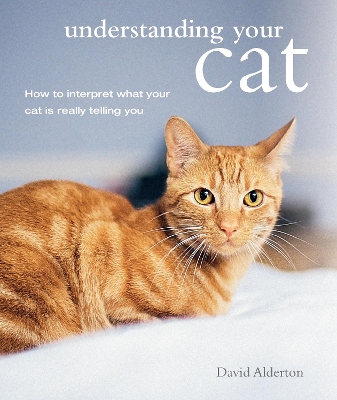 Book cover for Understanding Your Cat