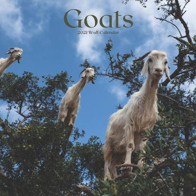 Book cover for Goat 2021 Wall Calendar