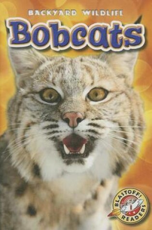 Cover of Bobcats