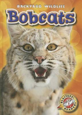 Book cover for Bobcats