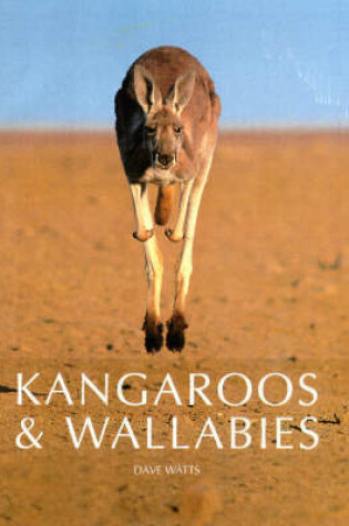 Cover of Kangaroos and Wallabies