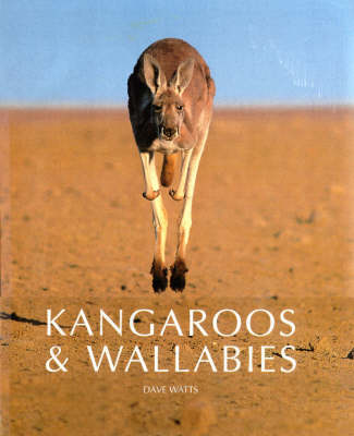 Book cover for Kangaroos and Wallabies