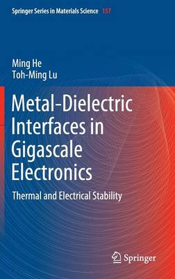 Book cover for Metal-Dielectric Interfaces in Gigascale Electronics