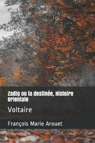 Cover of Zadig ou la destinée, Histoire Orientale