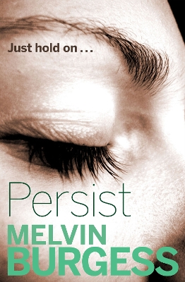 Cover of Persist