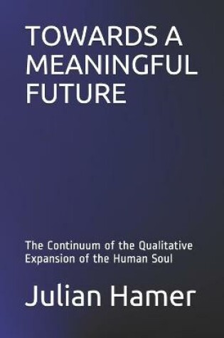 Cover of Towards a Meaningful Future