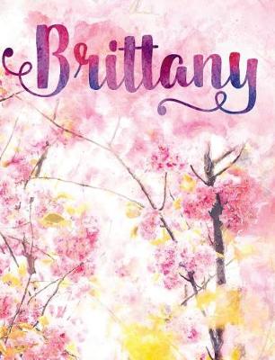 Book cover for Brittany