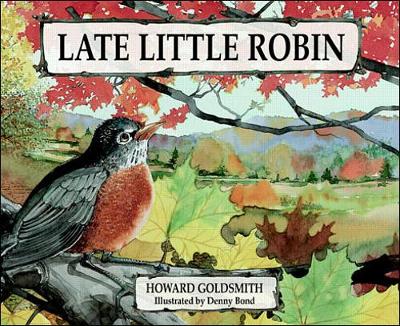 Book cover for Lost Little Robin