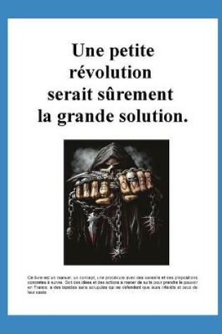 Cover of Une petite revolution serait surement la grande solution.