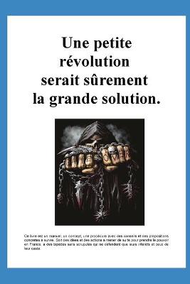 Cover of Une petite revolution serait surement la grande solution.