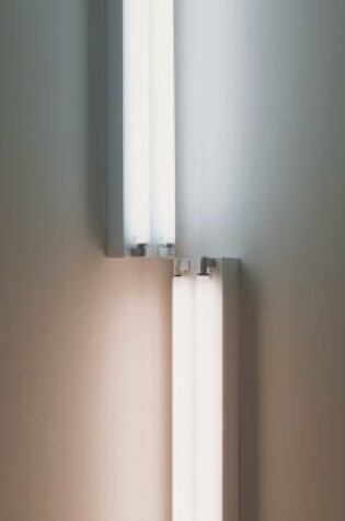 Cover of Dan Flavin