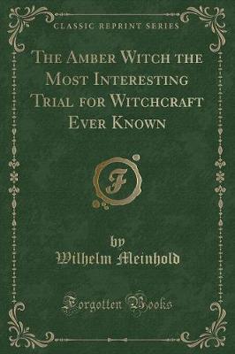 Book cover for The Amber Witch the Most Interesting Trial for Witchcraft Ever Known (Classic Reprint)
