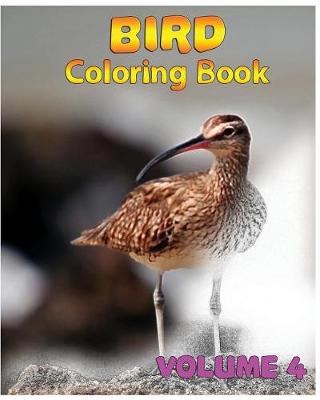 Cover of Bird Coloring Books Vol. 4 for Relaxation Meditation Blessing
