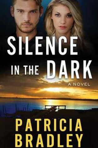 Cover of Silence in the Dark