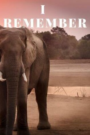 Cover of I Remember; Never Forget