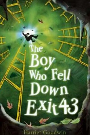 Cover of The Boy Who Fell Down Exit 43