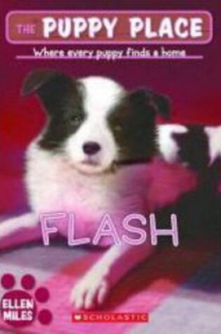 Cover of Flash