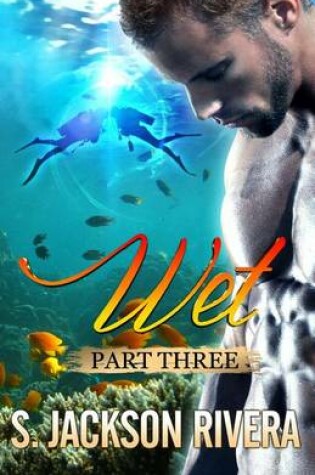 Cover of Wet Part 3