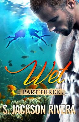 Book cover for Wet Part 3