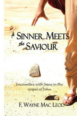 Cover of A Sinner Meets the Saviour