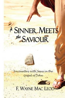 Book cover for A Sinner Meets the Saviour