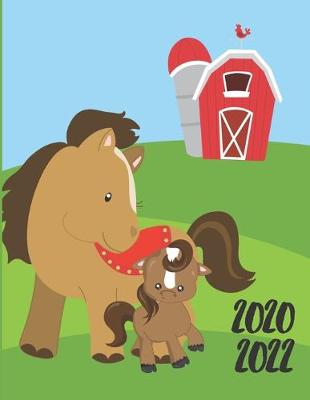 Book cover for 2020-2022 Three 3 Year Planner Horse Foal Monthly Calendar Gratitude Agenda Schedule Organizer