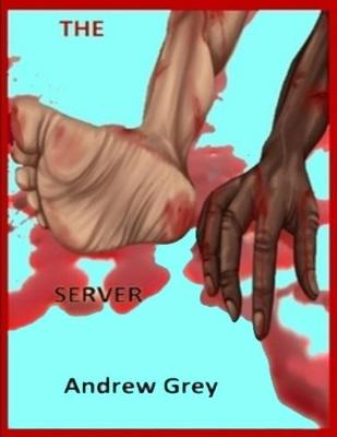 Book cover for The Server