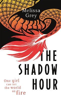 Book cover for The Shadow Hour