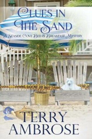 Cover of Clues in the Sand