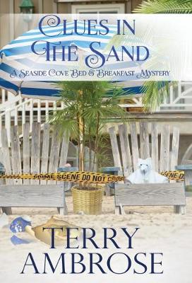 Cover of Clues in the Sand