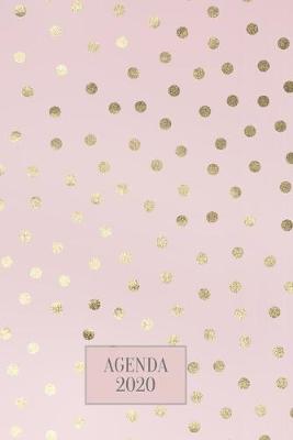 Book cover for Agenda 2020