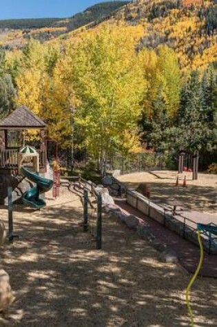 Cover of A Kids Playground in Vail, Colorado