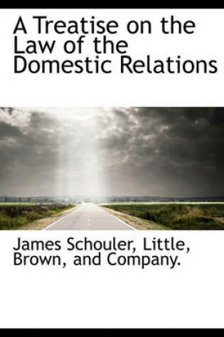 Cover of A Treatise on the Law of the Domestic Relations