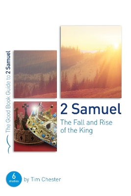 Book cover for 2 Samuel: The Fall and Rise of the King