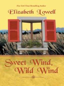 Book cover for Sweet Wind Wild Wind