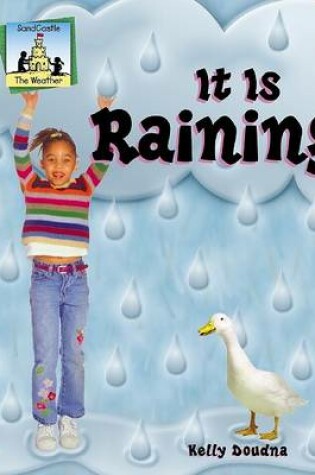 Cover of It is Raining