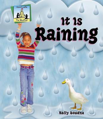 Book cover for It is Raining