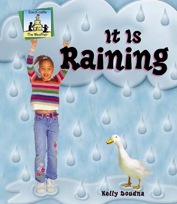 Cover of It is Raining