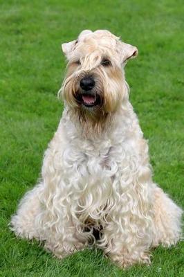 Book cover for The Soft Coated Wheaten Terrier Dog Journal