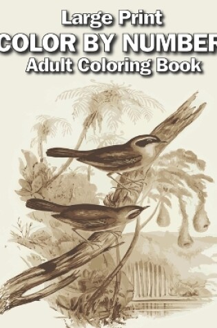 Cover of large print color by number adult coloring book