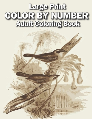 Book cover for large print color by number adult coloring book