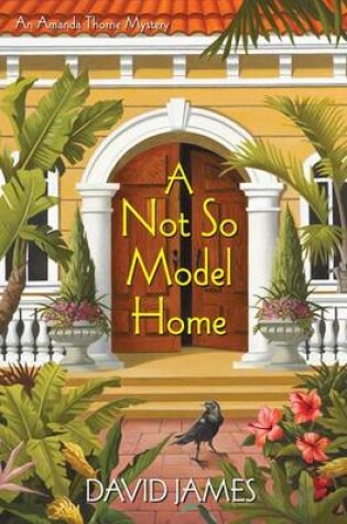 Cover of A Not So Model Home
